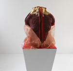 Papaule Rojo - my response to Flotsam