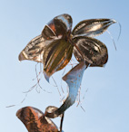 A view of the buttonhole in the sunlight